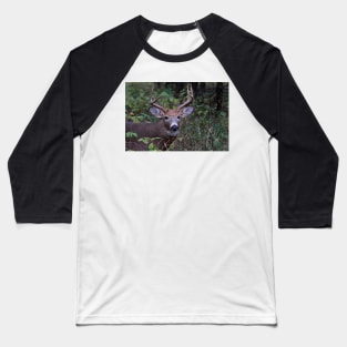 Big Sleepy Buck - White-tailed deer Baseball T-Shirt